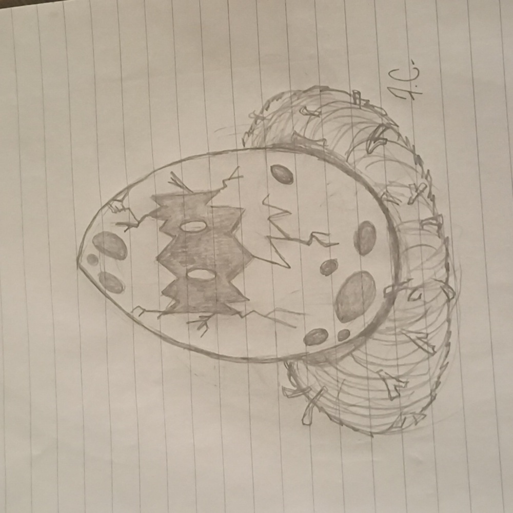 Original Handmade Mystical Egg Sketch Art on Paper - Picture 4 of 4
